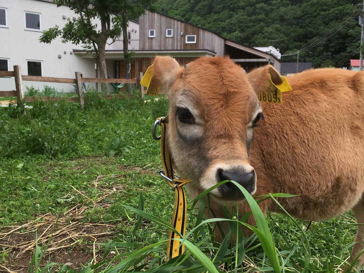 Kawashima Ryokan 왓카나이 외부 사진